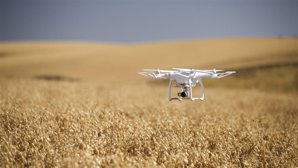 Photography of Robert Blair, farmer and Measure's VP Agriculture, piloting a DJI Phantom 3 in his field of chick peas. Measure is a company that offers turn key drone solutions to it's clients.
Blair Farm
Kendrick, ID USA